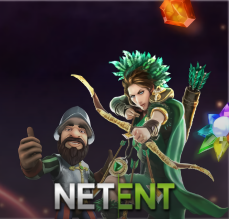 NET ENT